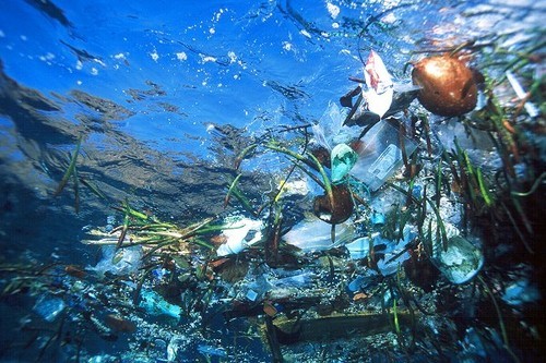 Pollution in the ocean © SW